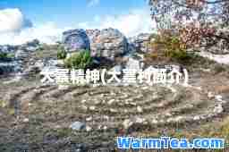 大寨精(大寨村简介)