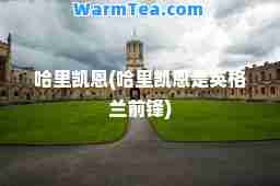 哈里凯恩(哈里凯恩是英格兰前锋)