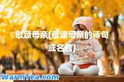 歌颂母亲(歌颂母亲的诗句或名言)