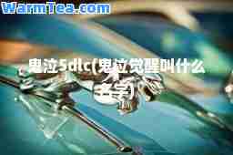 鬼泣5dlc(鬼泣觉醒叫什么名字)