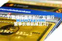 广发银行董事长(广发银行董事长被抓捕宜兴)