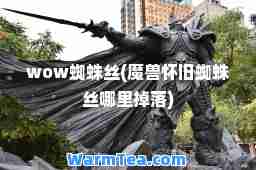 wow蜘蛛丝(魔兽怀旧蜘蛛丝哪里掉落)