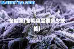 冬鱿鱼(冬鱿鱼需要多少技能)