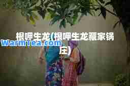 根呷生龙(根呷生龙藏家锅庄)