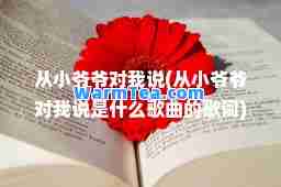 从小爷爷对我说(从小爷爷对我说是什么歌曲的歌词)