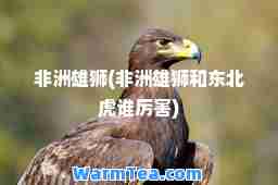 非洲雄狮(非洲雄狮和东北虎谁厉害)