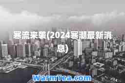 寒流来袭(2024寒潮消息)