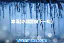 冰魂(冰魂雪魄下一句)