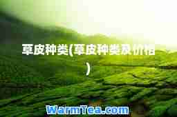 草皮种类(草皮种类及价格)