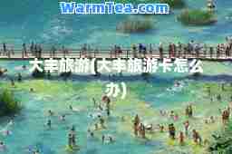 大丰旅游(大丰旅游卡怎么办)