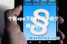 个税app下载(下载手机个税app)