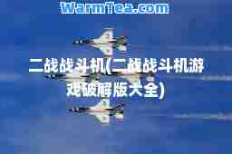 二战战斗机(二战战斗机游戏破解版大全)