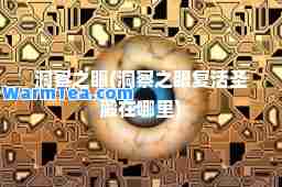 洞察之眼(洞察之眼复活圣殿在哪里)
