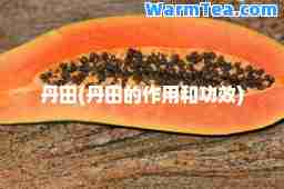 丹田(丹田的作用和功效)