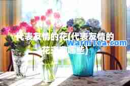代表友情的花(代表友情的花束有哪些)