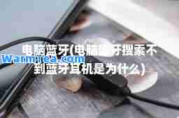 电脑蓝牙(电脑蓝牙搜索不到蓝牙耳机是为什么)
