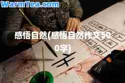 感悟自然(感悟自然作文500字)