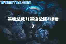 黑道圣徒1(黑道圣徒3秘籍)