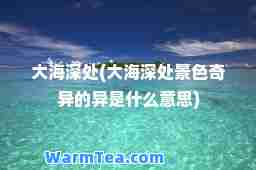 大海深处(大海深处景色奇异的异是什么意思)