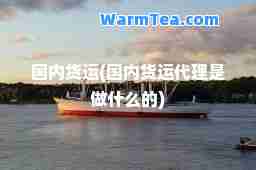 国内货运(国内货运代理是做什么的)