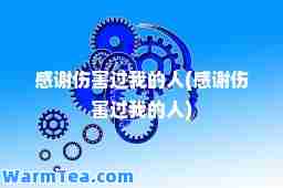 感谢伤害过我的人(感谢伤害过我的人)