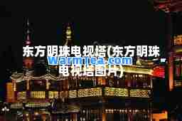 东方明珠电视塔(东方明珠电视塔图片)