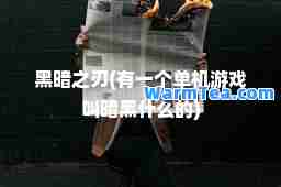 黑暗之刃(有一个单机游戏叫暗黑什么的)