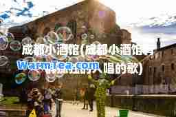 成都小酒馆(成都小酒馆有一群孤独的人唱的歌)