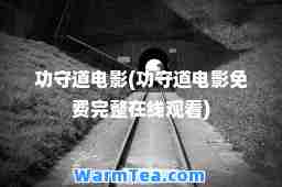 功守道电影(功守道电影免费完整在线观看)