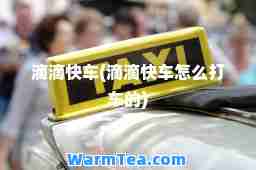 滴滴快车(滴滴快车怎么打车的)