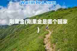 刚果金(刚果金是哪个国家)