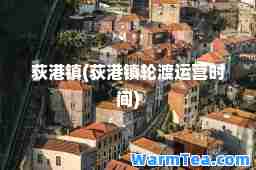 荻港镇(荻港镇轮渡运营时间)