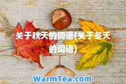 关于秋天的词语(关于冬天的词语)
