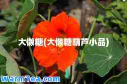 大懒糖(大懒糖葫芦小品)