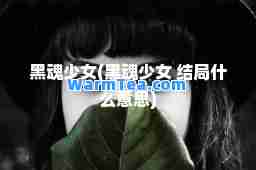 黑魂少女(黑魂少女 结局什么意思)