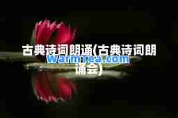 古典诗词朗诵(古典诗词朗诵会)
