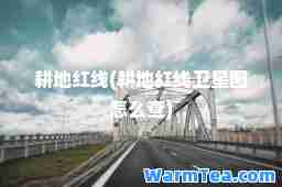 耕地红线(耕地红线卫星图怎么查)