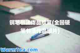 钢笔书法作品欣赏(全国硬笔书法作品图片)