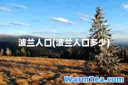 波兰人口(波兰人口多少)