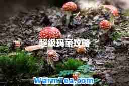 超级玛丽攻略
