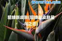 貂蝉新皮肤(貂蝉新皮肤星河之恋)