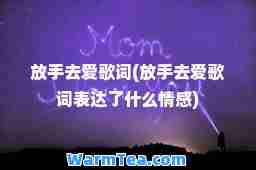 放手去爱歌词(放手去爱歌词表达了什么情感)