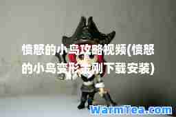 愤怒的小鸟攻略视频(愤怒的小鸟变形金刚下载安装)