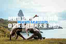对越自卫反击战图片(对越自卫反击战图片大全 彩色)