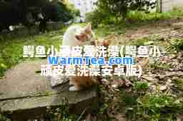 鳄鱼小顽皮爱洗澡(鳄鱼小顽皮爱洗澡安卓版)