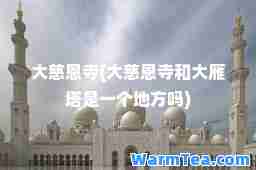 大慈恩寺(大慈恩寺和大雁塔是一个地方吗)