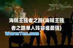 海贼王强者之路(海贼王强者之路单人阵容谁最强)