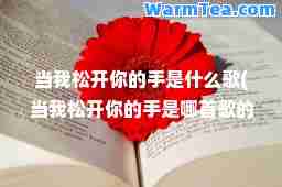 当我松开你的手是什么歌(当我松开你的手是哪首歌的歌词)