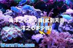 海洋之心多少钱(武则天海洋之心多少钱)