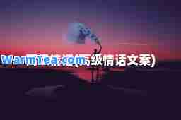高级情话(高级情话文案)